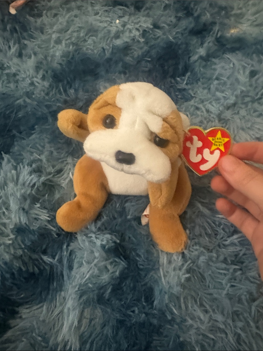 Ty Brown and White Bulldog Beanie Plush with Heart Tag
